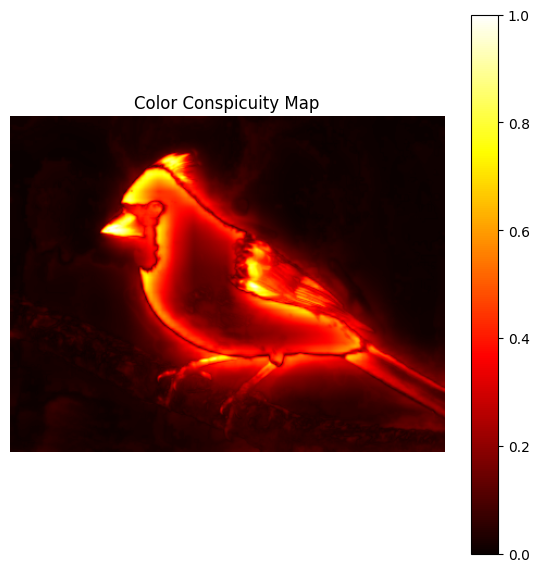 Color Conspicuity Map