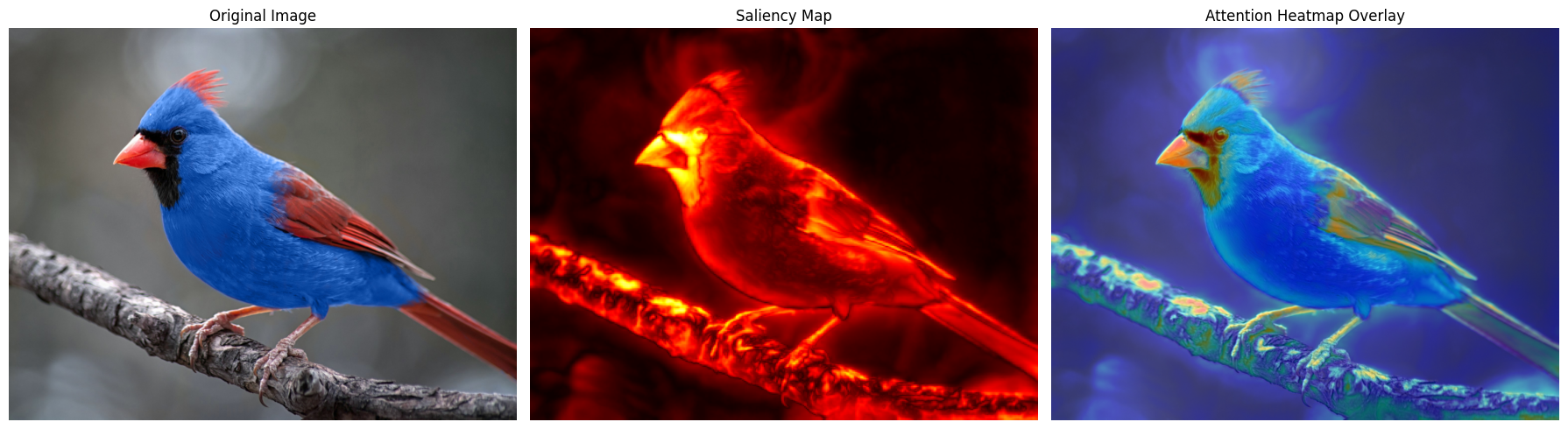 Final Saliency Map