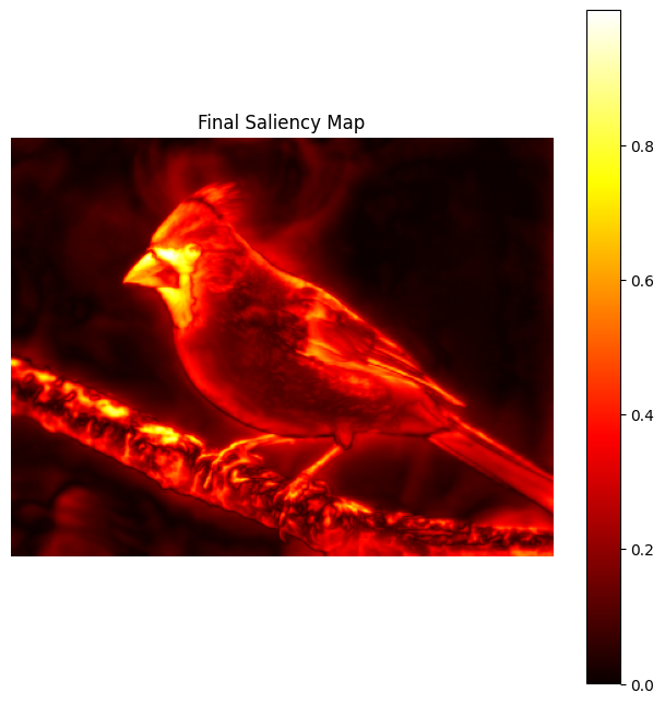Final Saliency Map