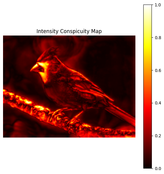 Intensity Conspicuity Map